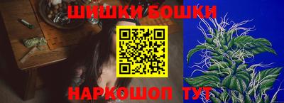 хмурый Бийск