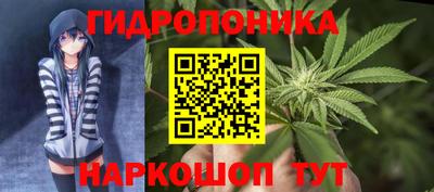 Альфа ПВП Беслан