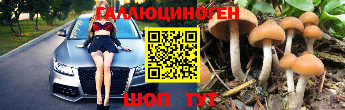 Псилоцибиновые грибы Magic Shrooms Зеленогорск